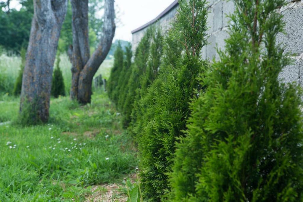 Villa Kuca Za Odmor Marija Vrhovine Exterior foto